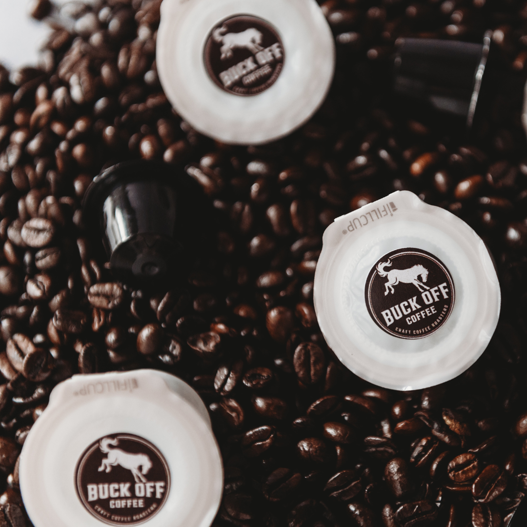 Campfire Chaos (Wholesale)